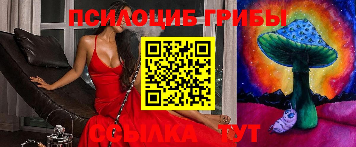 Сосновый Бор  Псилоцибиновые грибы GOLDEN TEACHER  Вход с VPN 