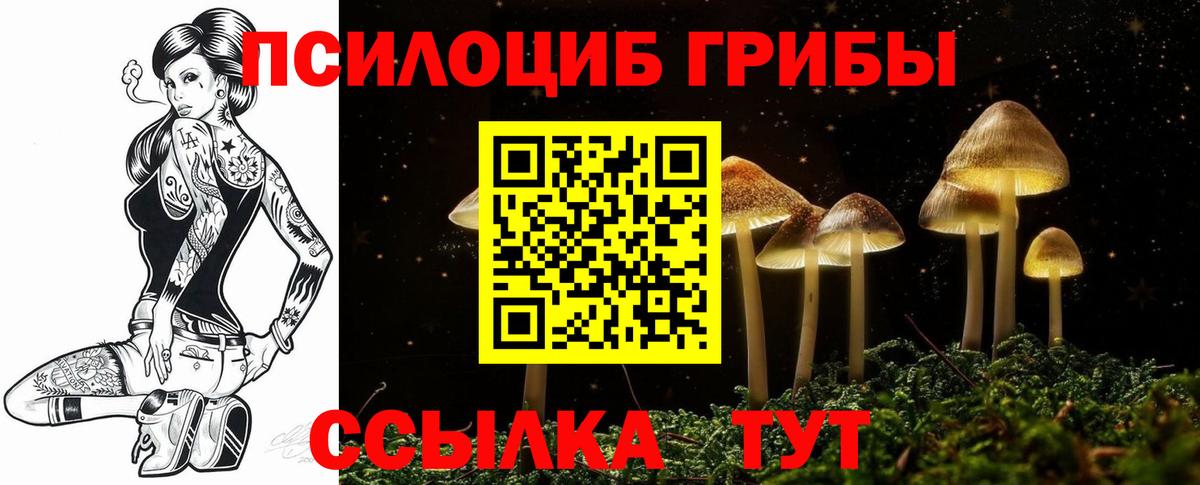 Галлюциногенные грибы мицелий Сосновый Бор